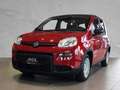 Fiat Panda Pandina S&S #PDC #KLIMA Rouge - thumbnail 2