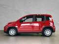 Fiat Panda Pandina S&S #PDC #KLIMA Rouge - thumbnail 3
