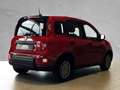 Fiat Panda Pandina S&S #PDC #KLIMA Rouge - thumbnail 4