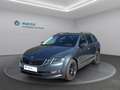 Skoda Octavia Style 2.0 TDI Grau - thumbnail 1