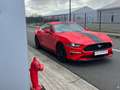 Ford Mustang 2.3 EcoBoost - Face lift Cockpit 290 cv- Boite aut Rood - thumbnail 28