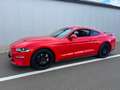 Ford Mustang 2.3 EcoBoost - Face lift Cockpit 290 cv- Boite aut Rouge - thumbnail 17