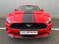 Ford Mustang 2.3 EcoBoost - Face lift Cockpit 290 cv- Boite aut Red - thumbnail 8