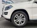 Mercedes-Benz GL 350 BlueTec 4MATIC 7-SITZE AHK LEDER GARANTIE Blanc - thumbnail 27