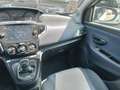 Lancia Ypsilon New 5 porte My24 1.0 Firefly 70 CvStart&Stop Hybr Vert - thumbnail 12