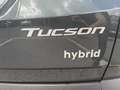 Hyundai TUCSON Tucson 1,6 T-GDI HEV 4WD Jubilé Aut. Grün - thumbnail 21