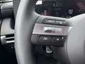 Hyundai TUCSON Tucson 1,6 T-GDI HEV 4WD Jubilé Aut. Grün - thumbnail 14