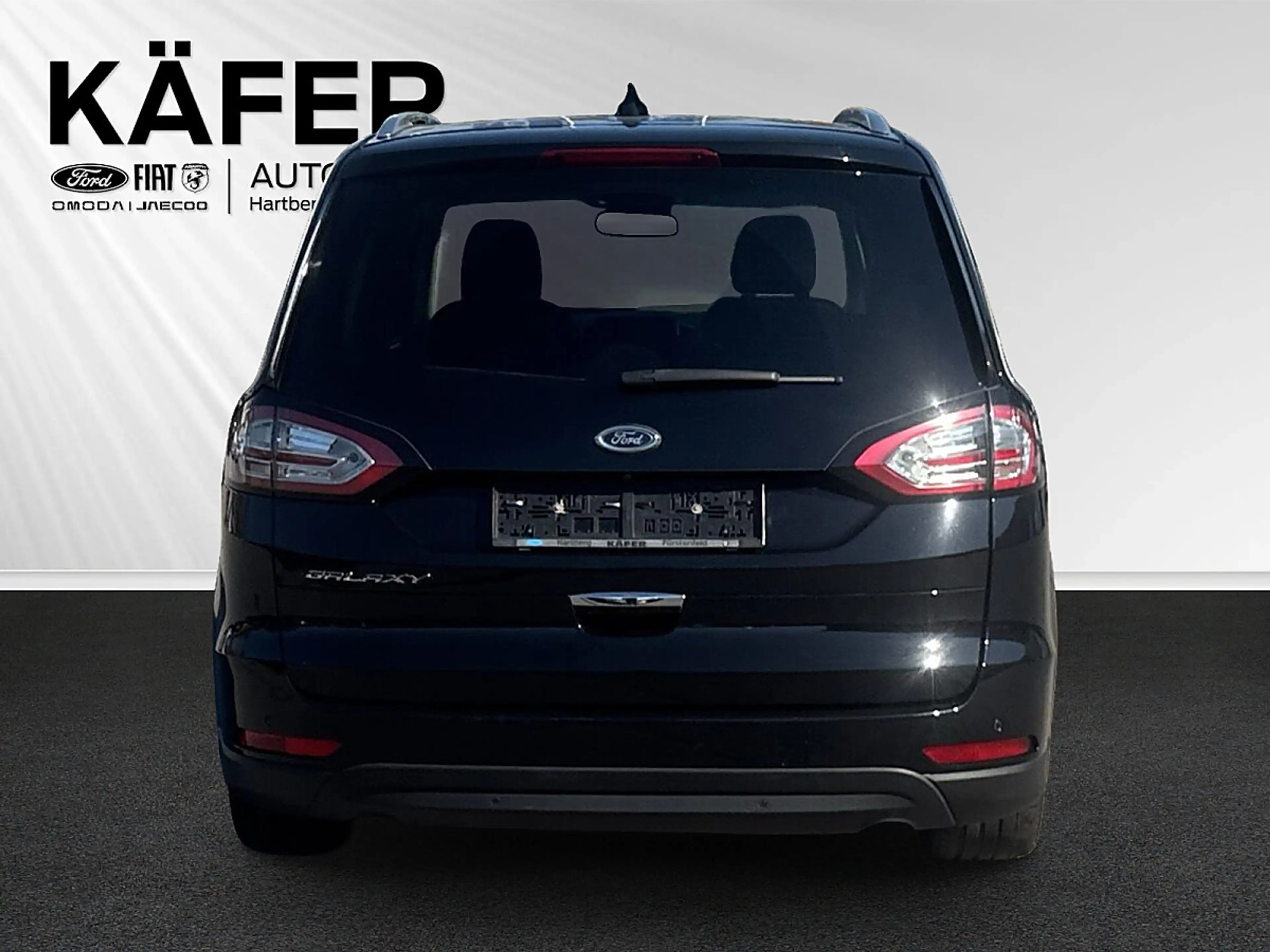 Ford Galaxy 2,0 EcoBlue SCR AWD Vignale Aut. — photo 7