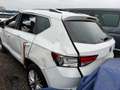 SEAT Ateca 2,0 Xcellence 4WD TDI DSG Weiß - thumbnail 6