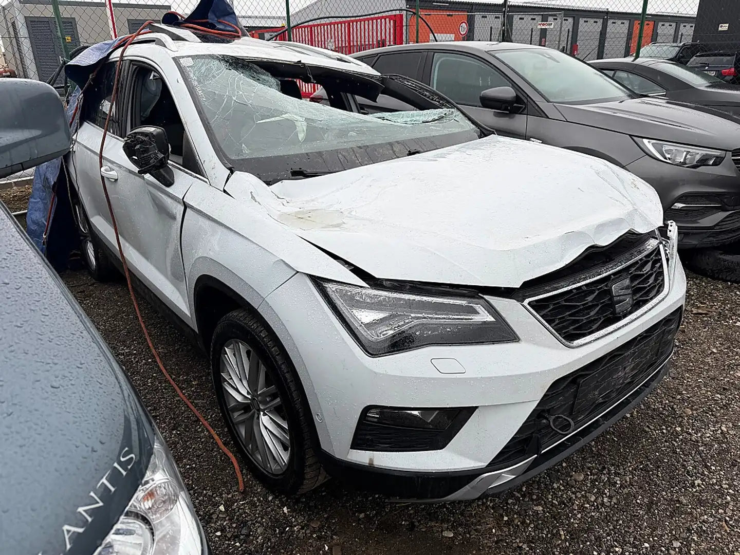 SEAT Ateca 2,0 Xcellence 4WD TDI DSG Weiß - 2