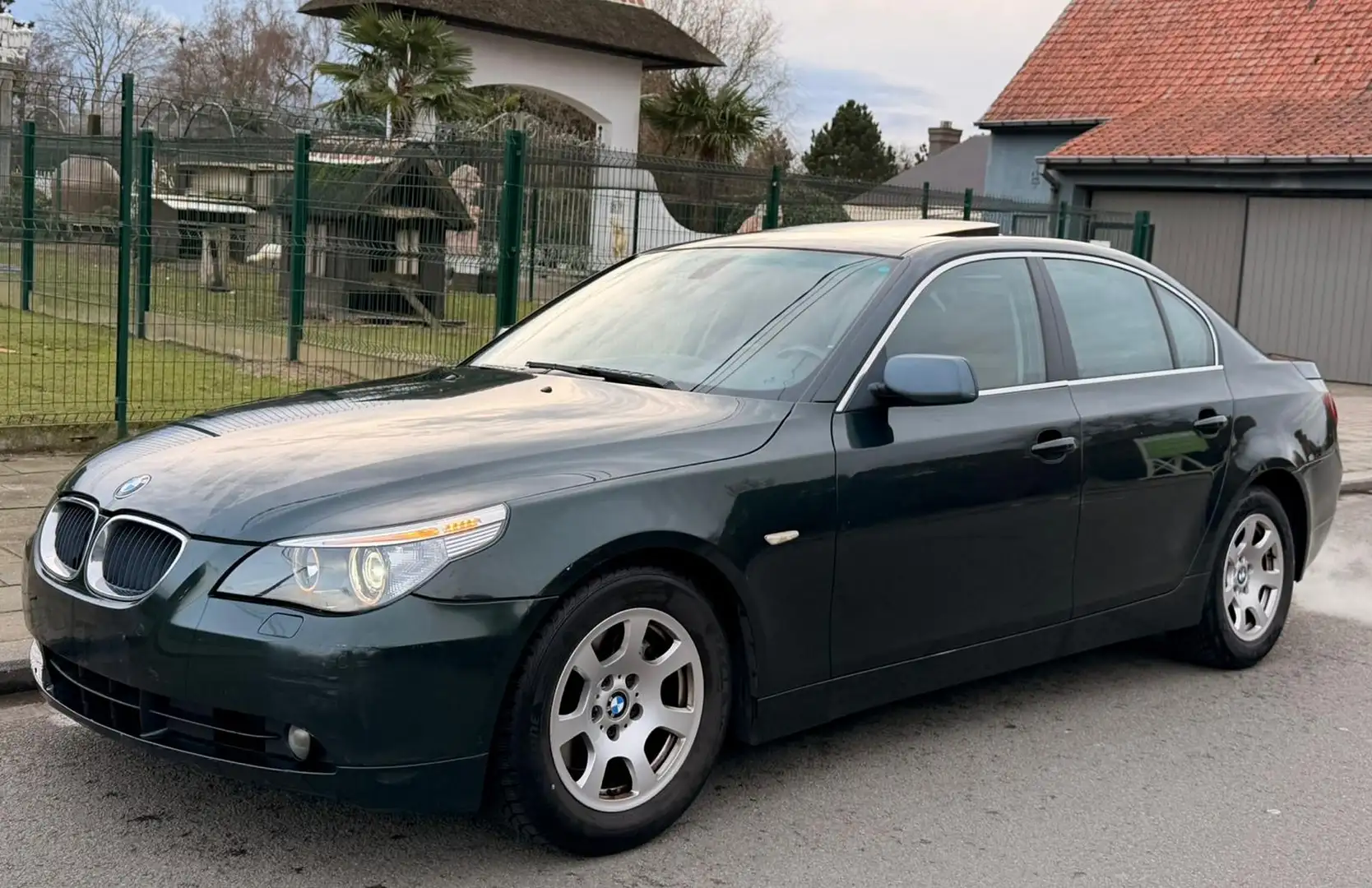 BMW 530 530d Grün - 1