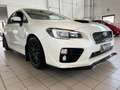 Subaru WRX 2.5 //BELL1SS1MA//SERVICE UFF. Bianco - thumbnail 3