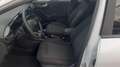 Ford Puma 1.0 ecoboost h ST-Line s Bianco - thumbnail 10