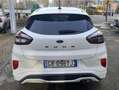 Ford Puma 1.0 ecoboost h ST-Line s Bianco - thumbnail 5
