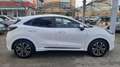 Ford Puma 1.0 ecoboost h ST-Line s Bianco - thumbnail 7