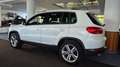 Volkswagen Tiguan Lounge/Steuerkette neu/18"/AHK/Pano/Temp Weiß - thumbnail 8