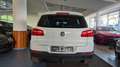 Volkswagen Tiguan Lounge/Steuerkette neu/18"/AHK/Pano/Temp Weiß - thumbnail 6