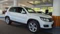 Volkswagen Tiguan Lounge/Steuerkette neu/18"/AHK/Pano/Temp Weiß - thumbnail 3