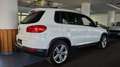 Volkswagen Tiguan Lounge/Steuerkette neu/18"/AHK/Pano/Temp Weiß - thumbnail 5