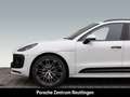 Porsche Macan BOSE Abstandstempomat Surround-View LED Blanc - thumbnail 10