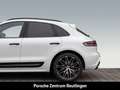 Porsche Macan BOSE Abstandstempomat Surround-View LED Blanc - thumbnail 11