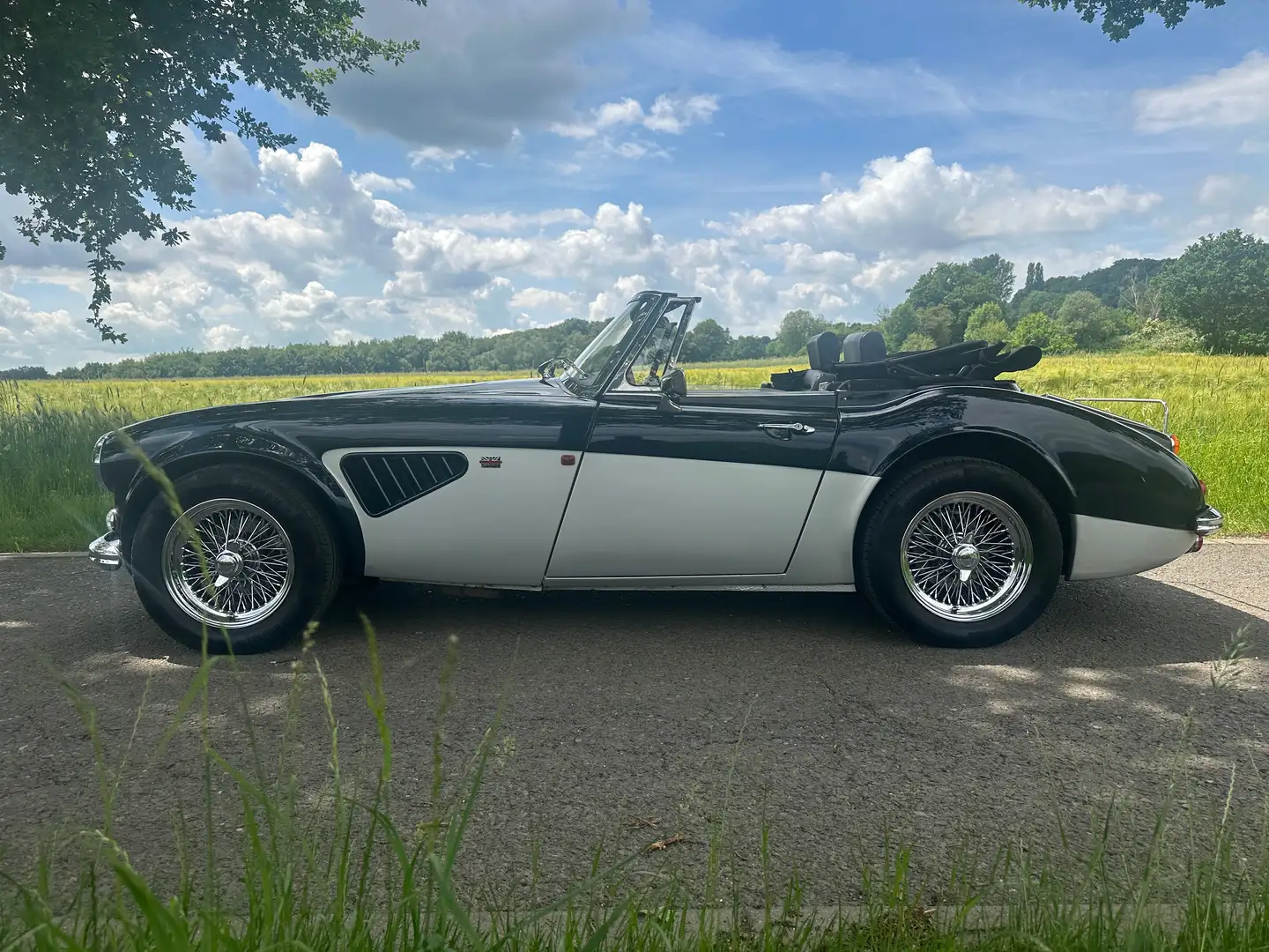 Austin-Healey Sonstige HMC MK IV Blau - 2