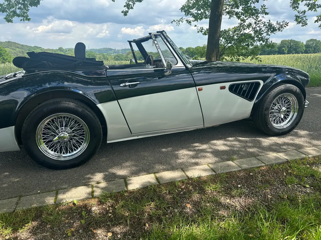 Austin-Healey HMC MK IV, foto 7