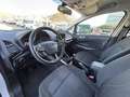 Ford EcoSport 1.0 EcoBoost Active 125 Weiß - thumbnail 8