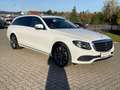 Mercedes-Benz E 220 d T Exclusive Widescreen AHK Avantgarde Weiß - thumbnail 4
