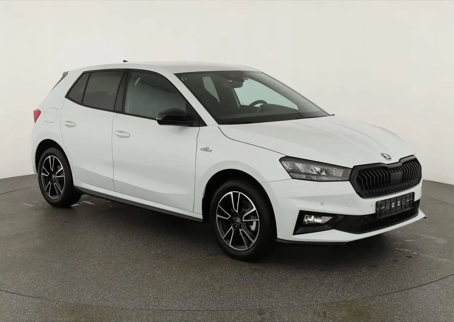 Skoda Fabia Monte Carlo 1.0 TSI DSG Carlo, Kamera, Winter, ... Wit - 1