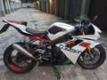 Triumph Daytona 675 R 2012 Bianco - thumbnail 2