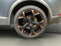 CUPRA Formentor 2.0 TSI VZ+4DRIVE+PANO+LED+NAV+PDC+APP Grau - thumbnail 19
