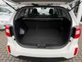 Kia Sorento Platinum Edition 4WD** TOP ZUSTAND Weiß - thumbnail 10