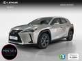 Lexus UX 250h 2.0 Business Argent - thumbnail 1