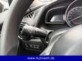 Mazda 2 Lim. 1.5 Skyactive-G Prime-Line Klimaanlage Braun - thumbnail 18