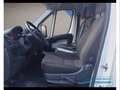 Citroen Jumper 35 BlueHDi 130 PM-TM Furgone Business Blanc - thumbnail 9