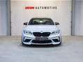 BMW M2 COMPETITION - NAVPRO I CARBON I ADAPT LED I CAMERA Zilver - thumbnail 2