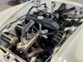 Wartburg Sonstige 313 Sport, restauriert, kompl. dokum. Weiß - thumbnail 27