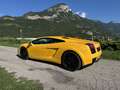 Lamborghini Gallardo auto bellissima ASI - thumbnail 4