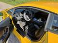 Lamborghini Gallardo auto bellissima ASI - thumbnail 8
