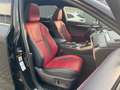 Lexus NX 300 h F Sport StandHeiz*HUD*Pano*4xSHZ*Navi Noir - thumbnail 8