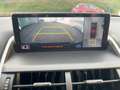 Lexus NX 300 h F Sport StandHeiz*HUD*Pano*4xSHZ*Navi Noir - thumbnail 13
