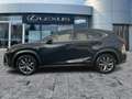 Lexus NX 300 h F Sport StandHeiz*HUD*Pano*4xSHZ*Navi Noir - thumbnail 3