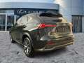 Lexus NX 300 h F Sport StandHeiz*HUD*Pano*4xSHZ*Navi Noir - thumbnail 4