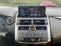 Lexus NX 300 h F Sport StandHeiz*HUD*Pano*4xSHZ*Navi Noir - thumbnail 12