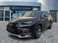 Lexus NX 300 h F Sport StandHeiz*HUD*Pano*4xSHZ*Navi Noir - thumbnail 2