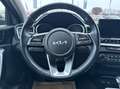 Kia XCeed Xceed 1,6 CRDI 48V Gold DCT Grau - thumbnail 12