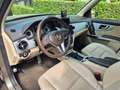 Mercedes-Benz GLK 200 AMG Bronze - thumbnail 12