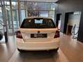 Skoda Fabia Ambition / TÜV NEU Weiß - thumbnail 5