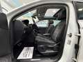 Volkswagen Tiguan 2,0 TDI SCR Highline DSG,HEAD UP, PANO, NAVI, L... Weiß - thumbnail 35